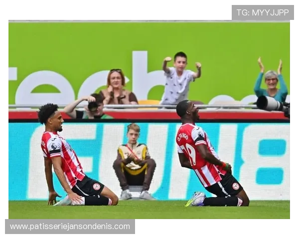 达姆斯高技术全面性